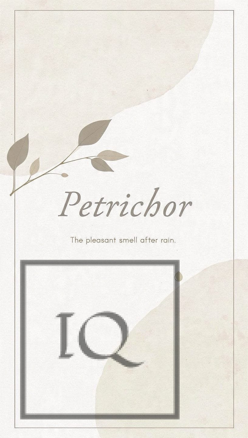 Petrichor meaning quote image